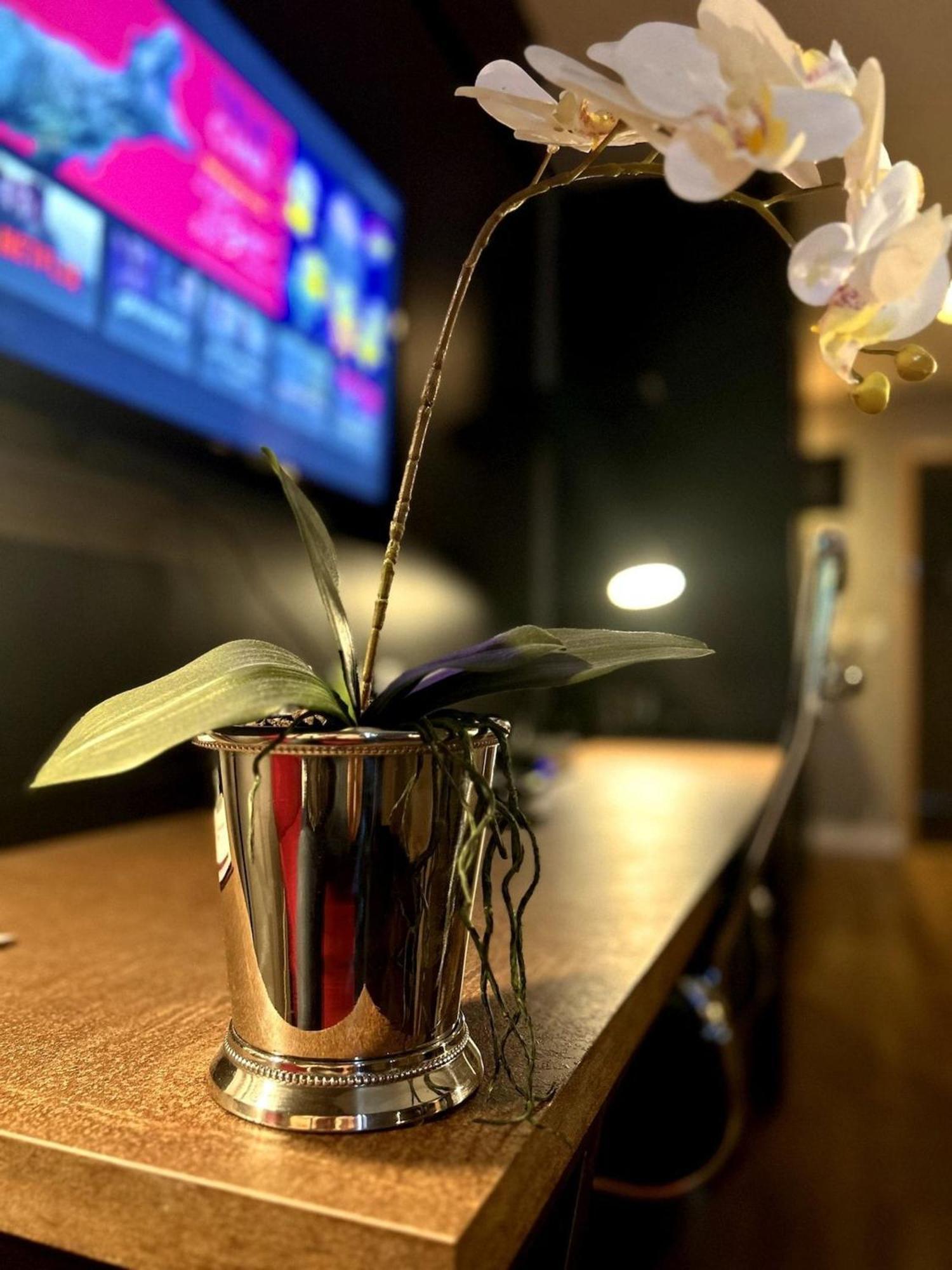 Quartos No Qs Marista ゴイアニア 部屋 写真